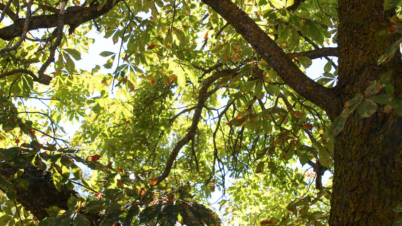 Photo of Outdoor in Navas de Riofrio
