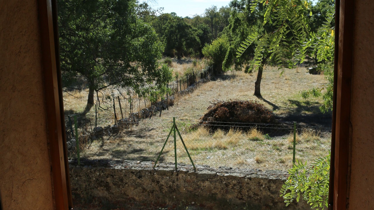 Photo of Others in Navas de Riofrio