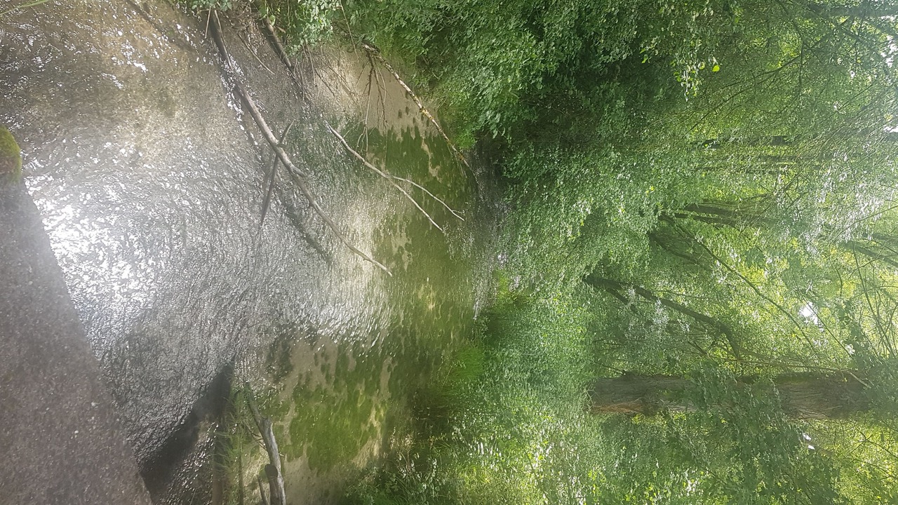 Photo of Outdoor in La Nuez de Arriba