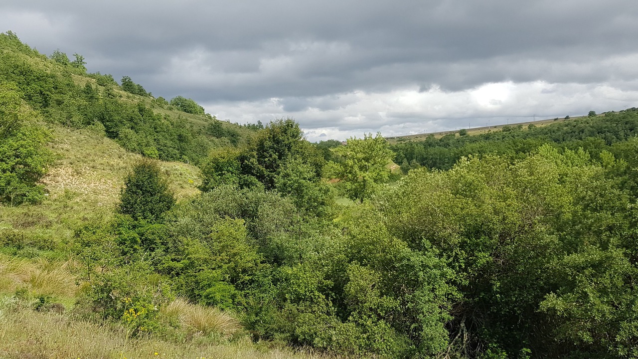 Photo of Outdoor in La Nuez de Arriba