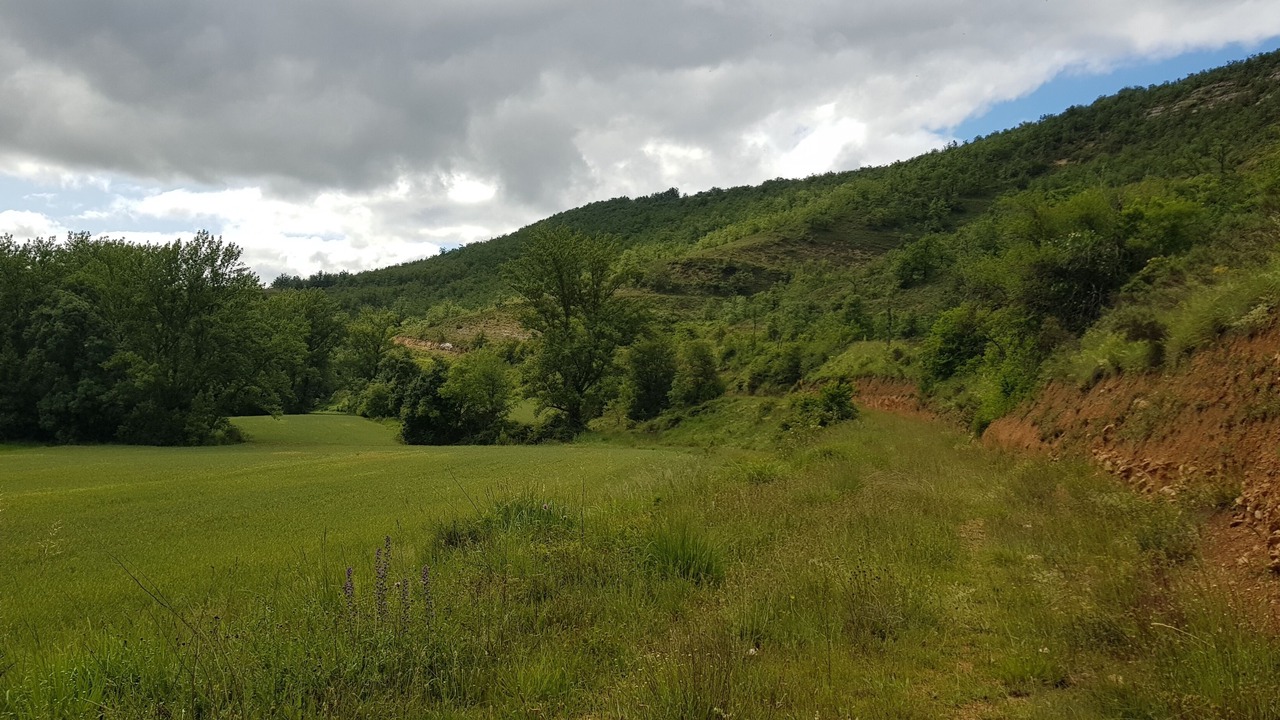 Photo of Outdoor in La Nuez de Arriba