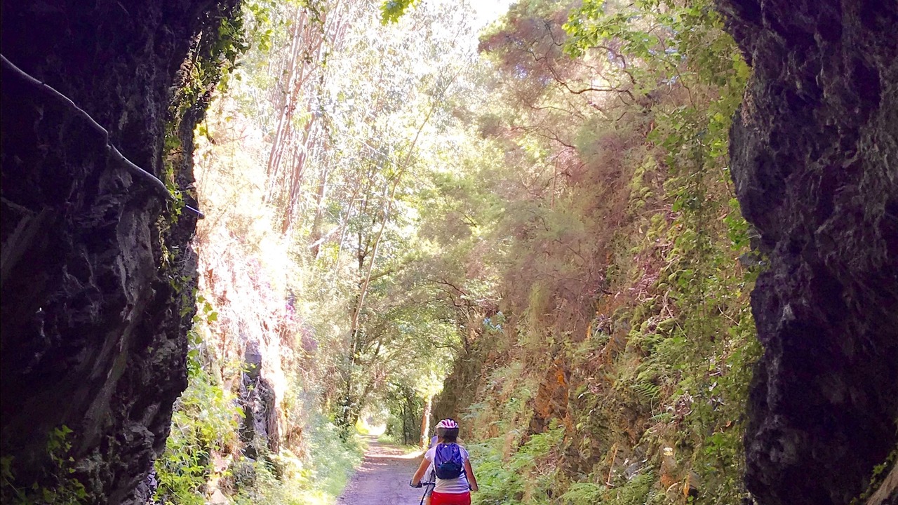 Photo of Outdoor in Aldeguer