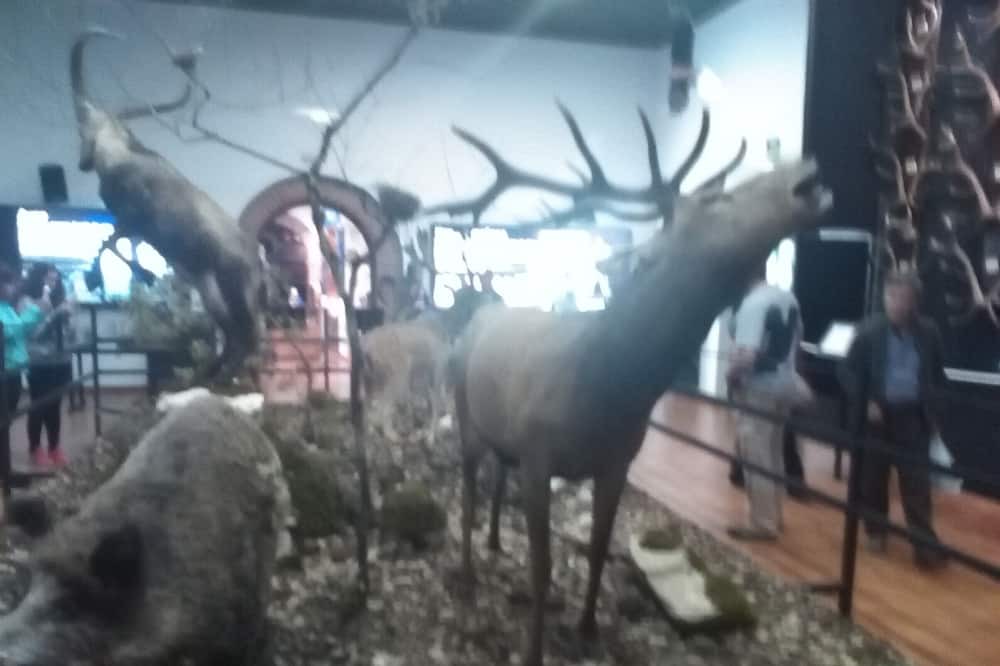 Photo of Others in Arroyo Frio