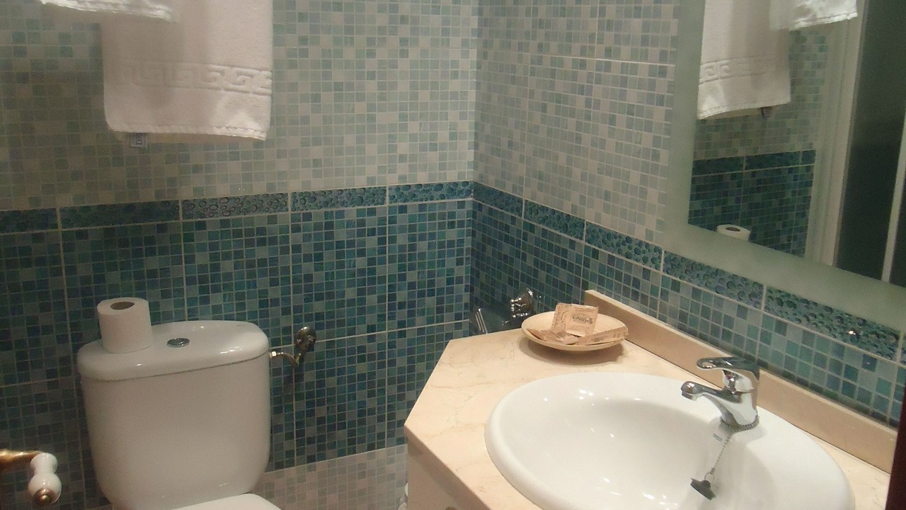 Photo of Bathroom in Valdepenas