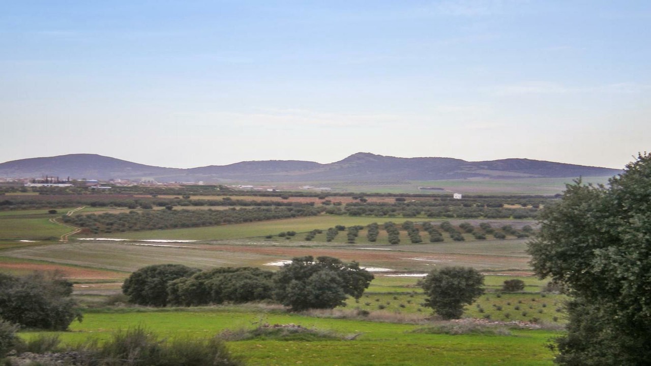 Photo of Others in Castellar de Santiago