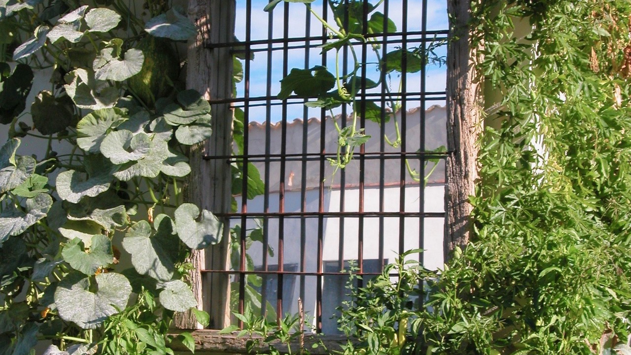 Photo of Outdoor in Sarinena