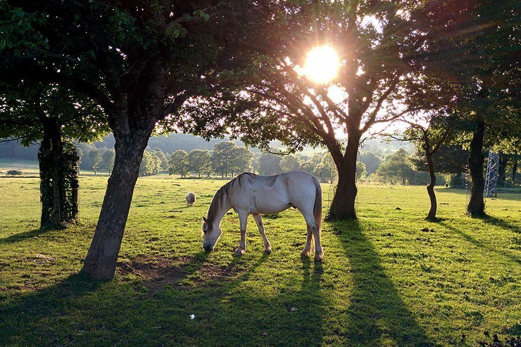 Photo of Outdoor in Meira