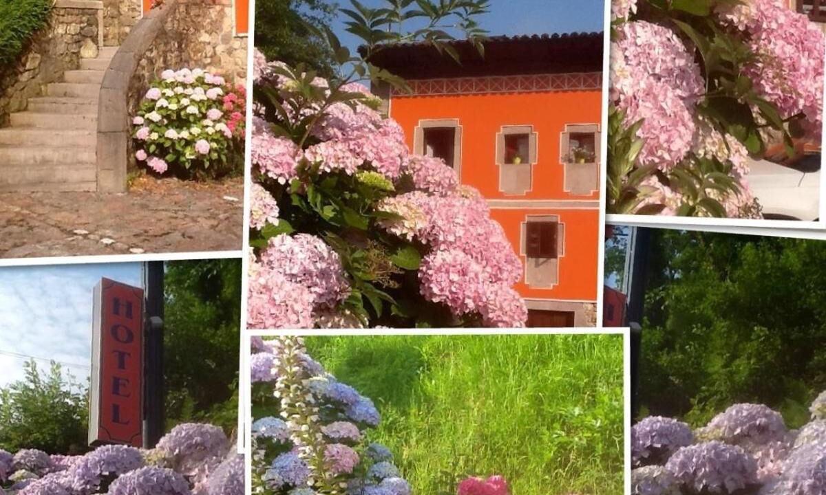Photo of Outdoor in La Riera