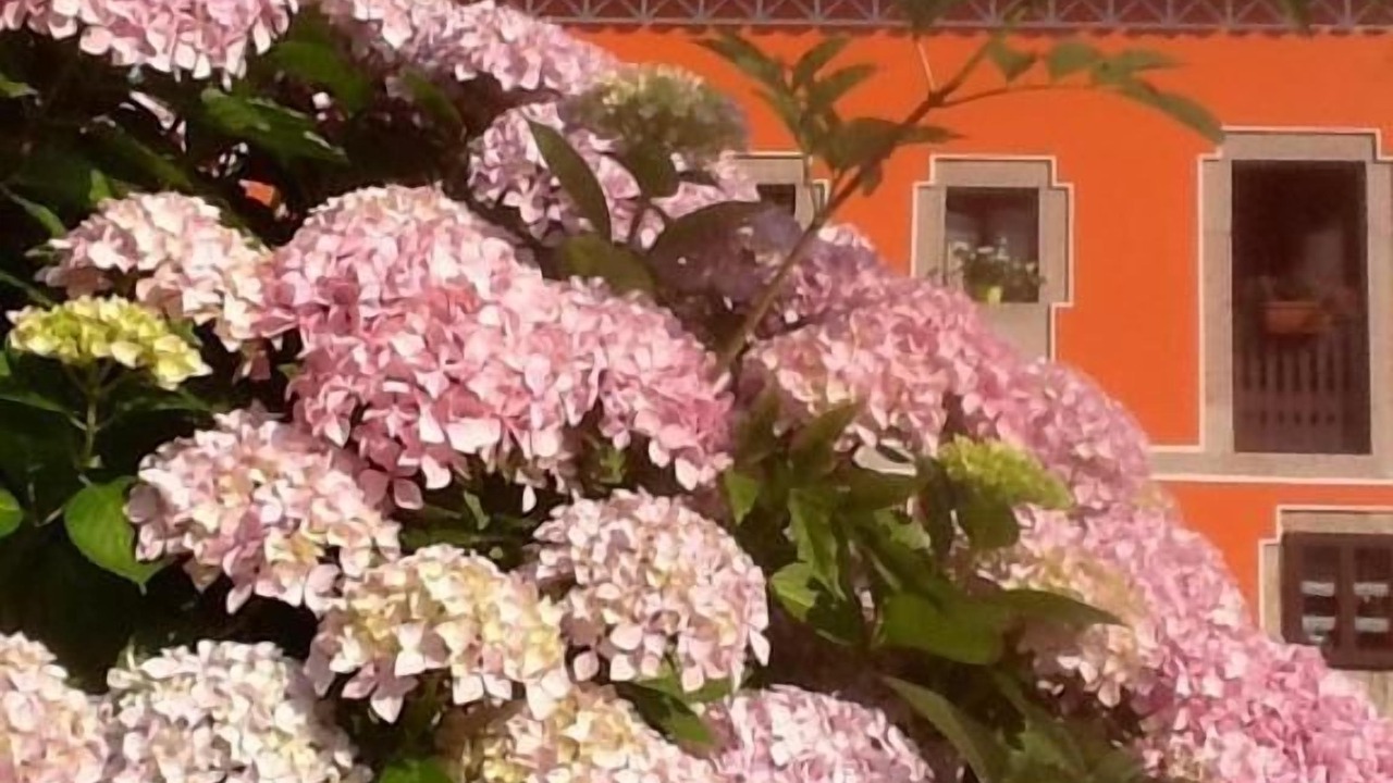 Photo of Outdoor in La Riera