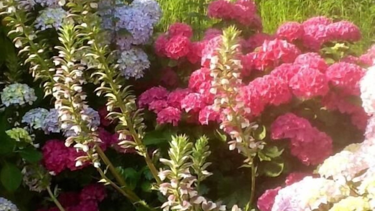 Photo of Outdoor in La Riera