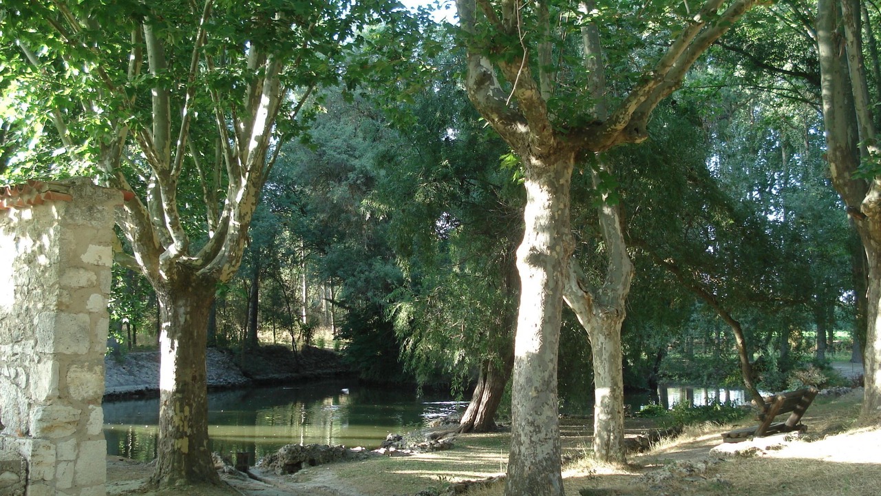 Photo of Outdoor in La Santa Espina