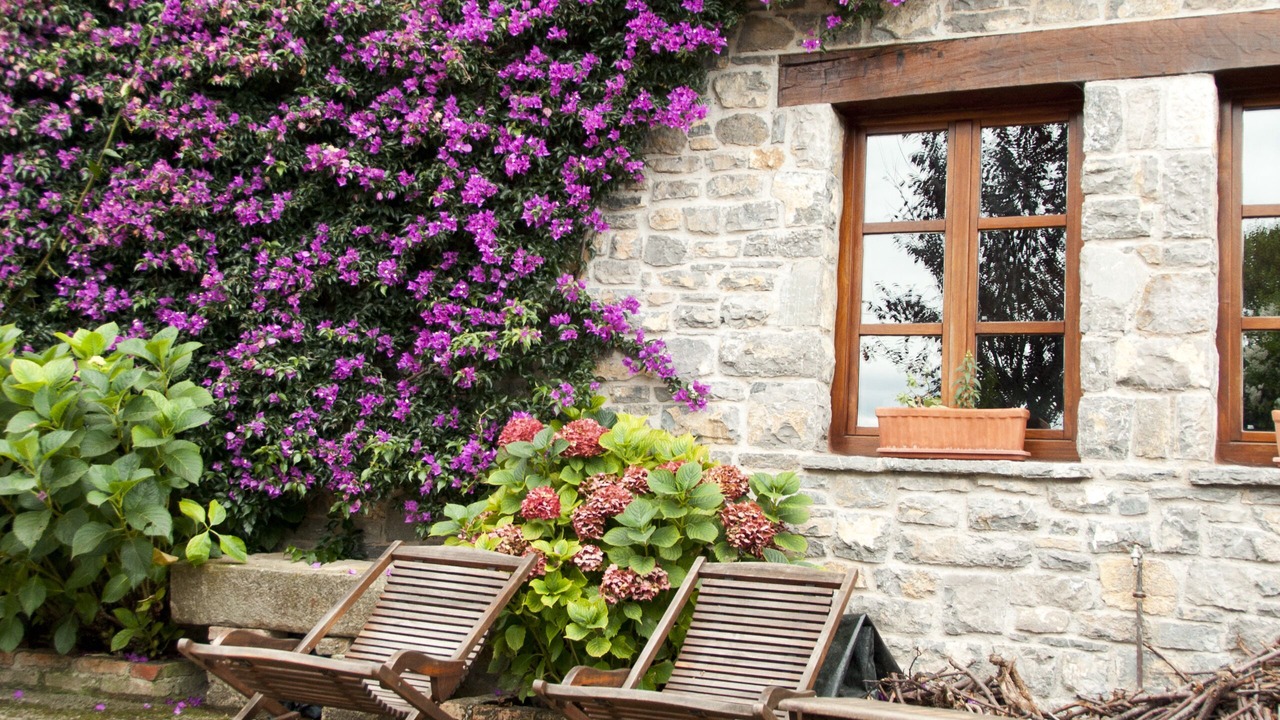 Photo of Outdoor in Tornon