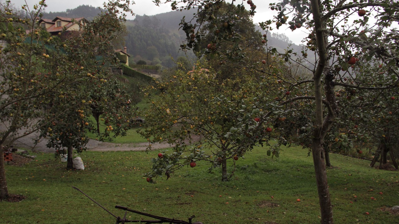 Photo of Outdoor in Tornon