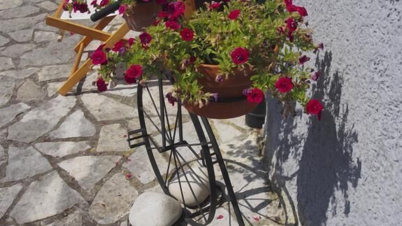 Photo of Outdoor in Avin