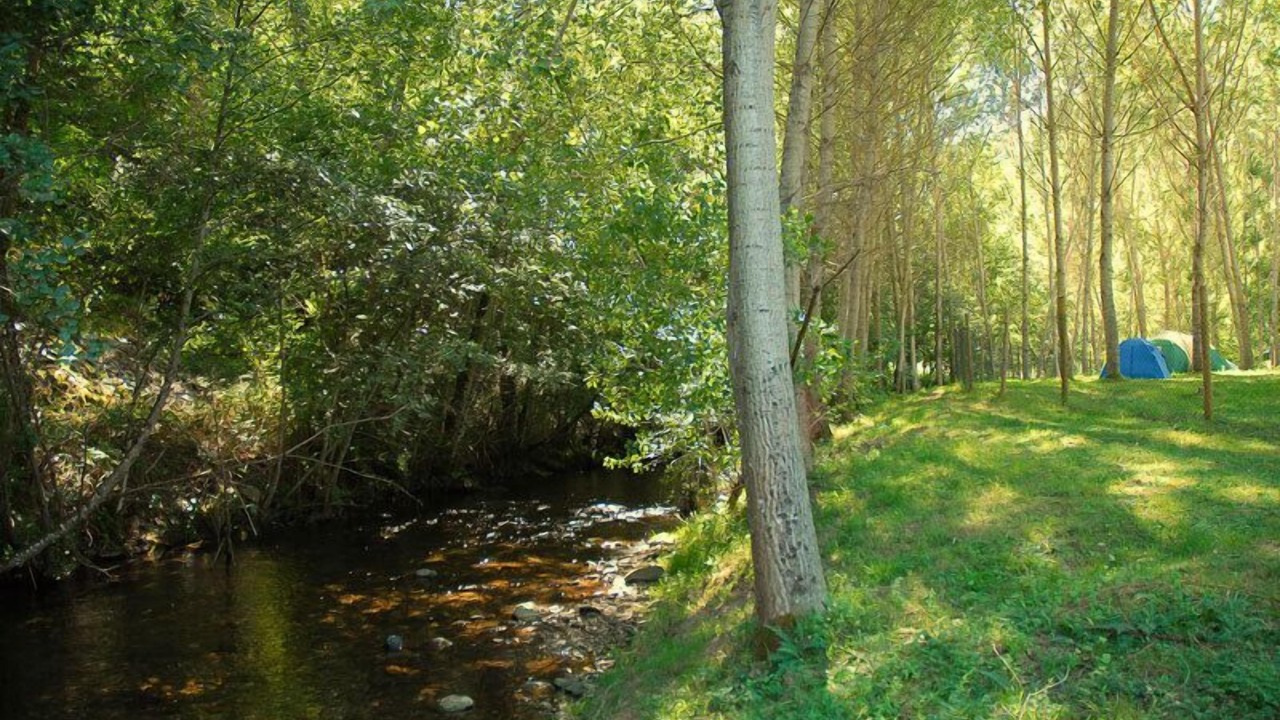 Photo of Outdoor in Trabadelo