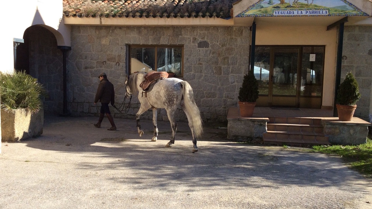 Photo of Others in El Escorial