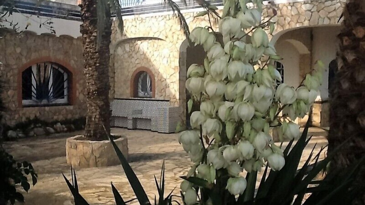 Photo of Outdoor in Pau