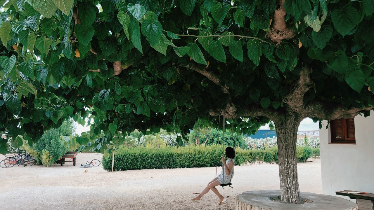 Photo of Outdoor in L'Aldea