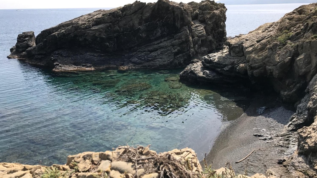 Photo of Others in Llanca