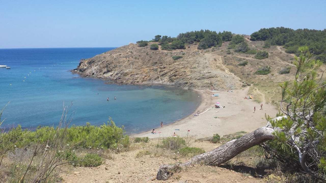 Photo of Others in Llanca