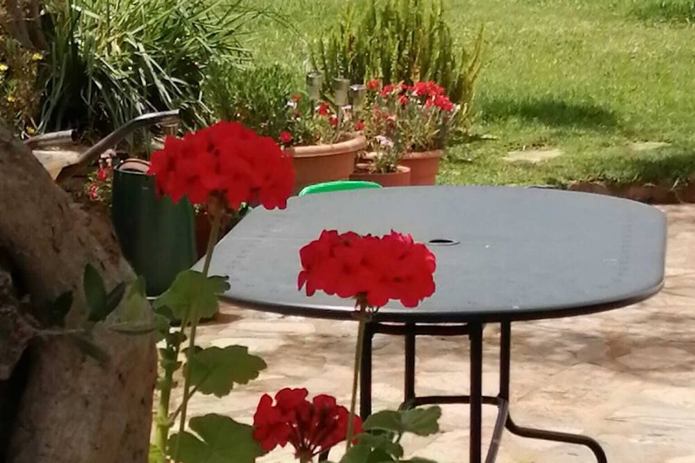 Photo of Outdoor in Corteconcepcion