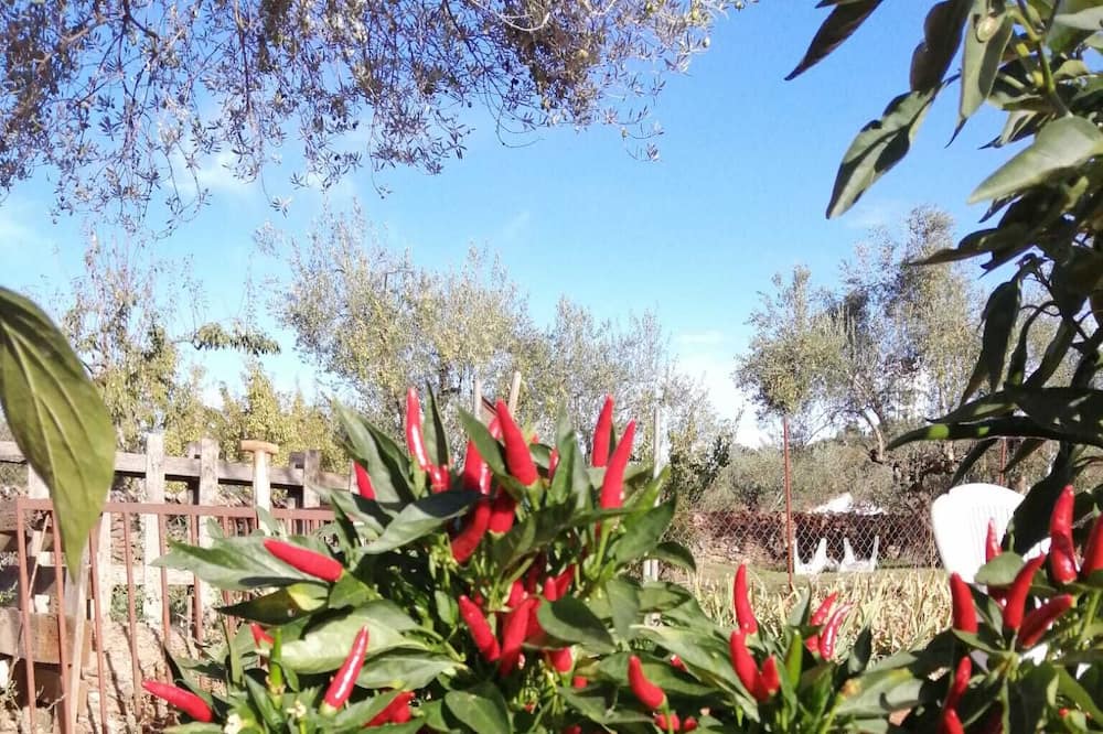 Photo of Outdoor in Corteconcepcion