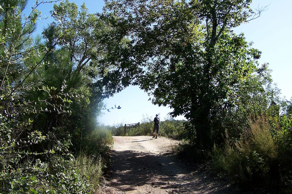 Photo of Others in Corteconcepcion