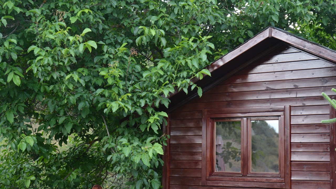 Photo of Outdoor in Bretun