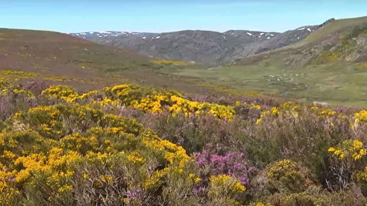 Photo of Outdoor in Pedrazales
