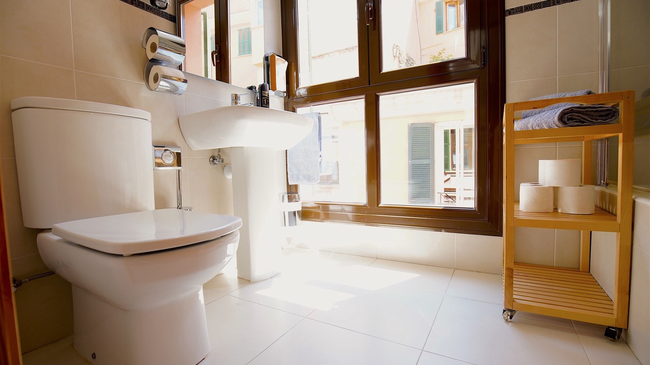 Photo of Bathroom in La Llotja-Born