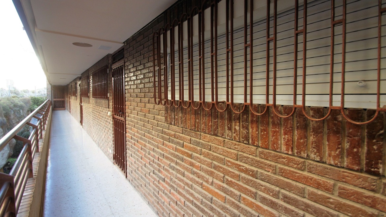 Photo of Outdoor in L'Albufereta