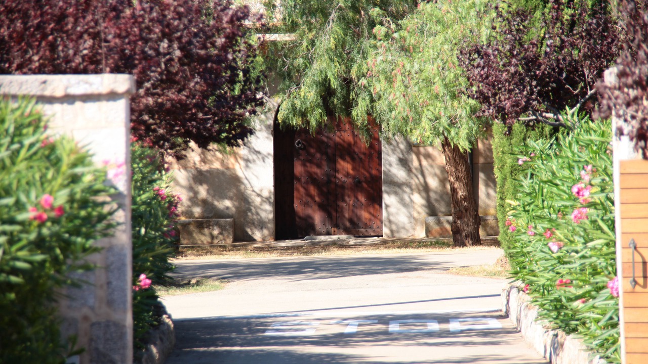 Photo of Outdoor in Valldemossa
