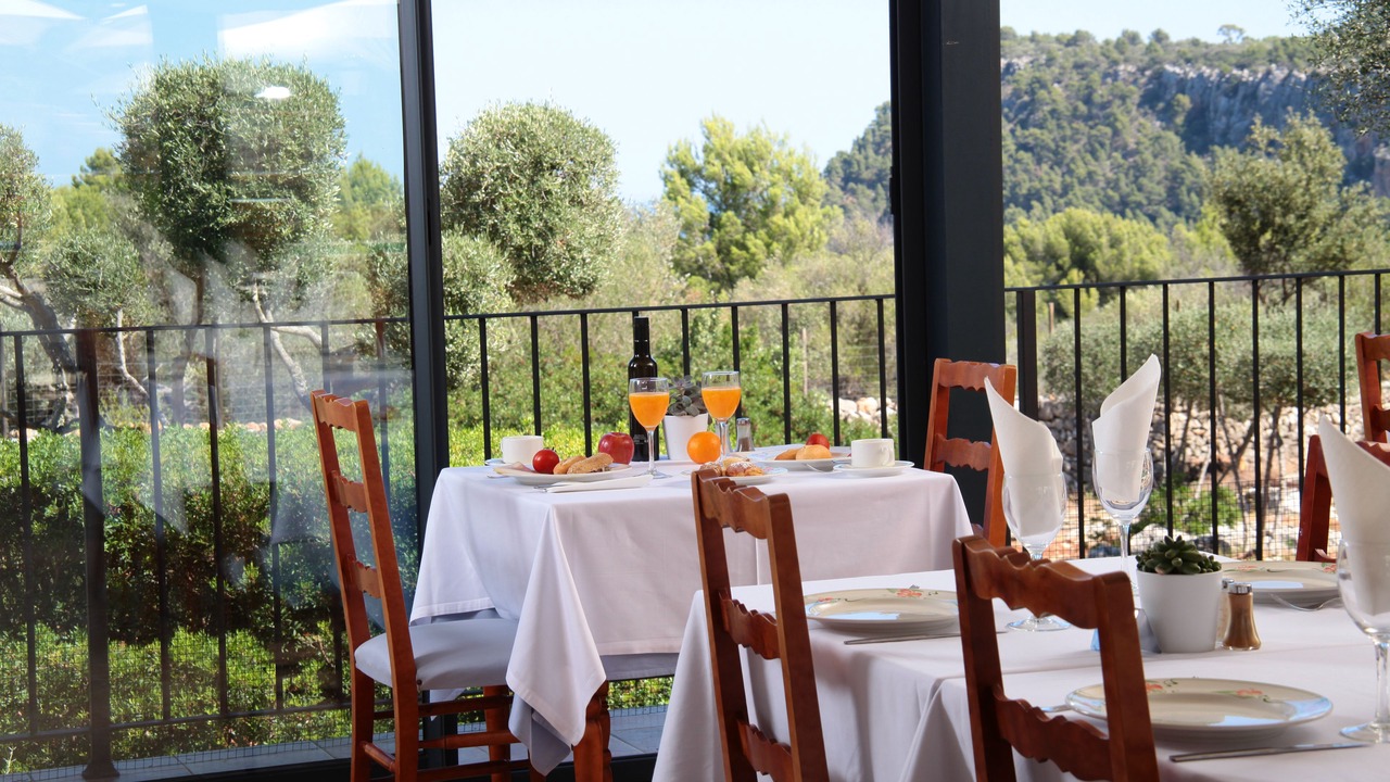 Photo of Outdoor in Valldemossa