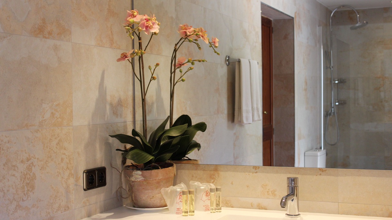 Photo of Bathroom in Valldemossa