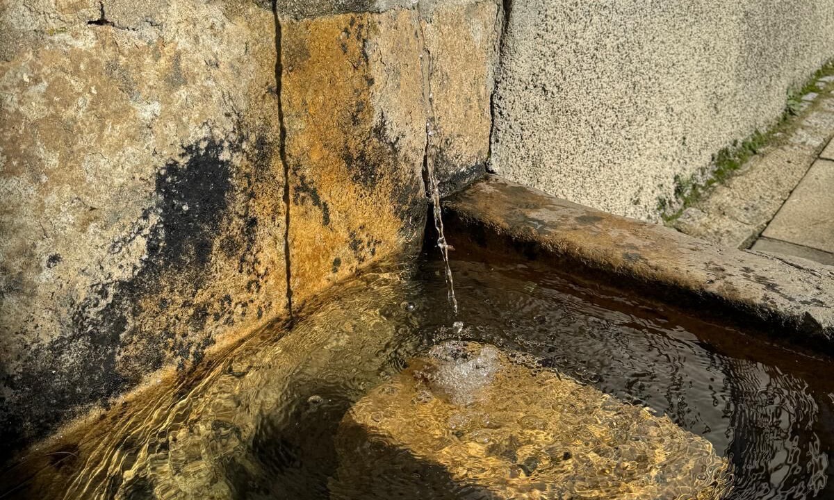 Photo of Outdoor in Valdesangil