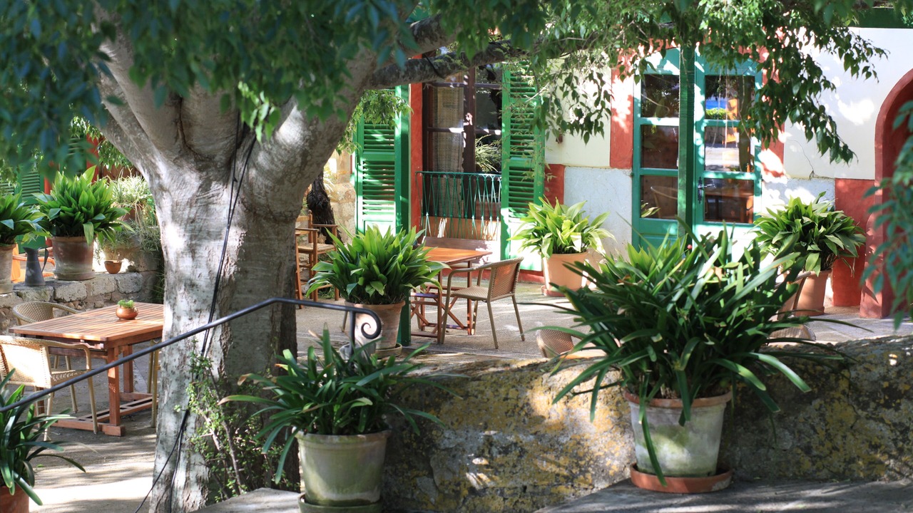 Photo of Outdoor in Lloret de Vistalegre