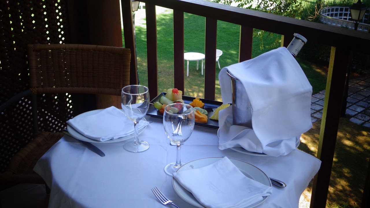 Photo of Patio Balcony in Manzanares