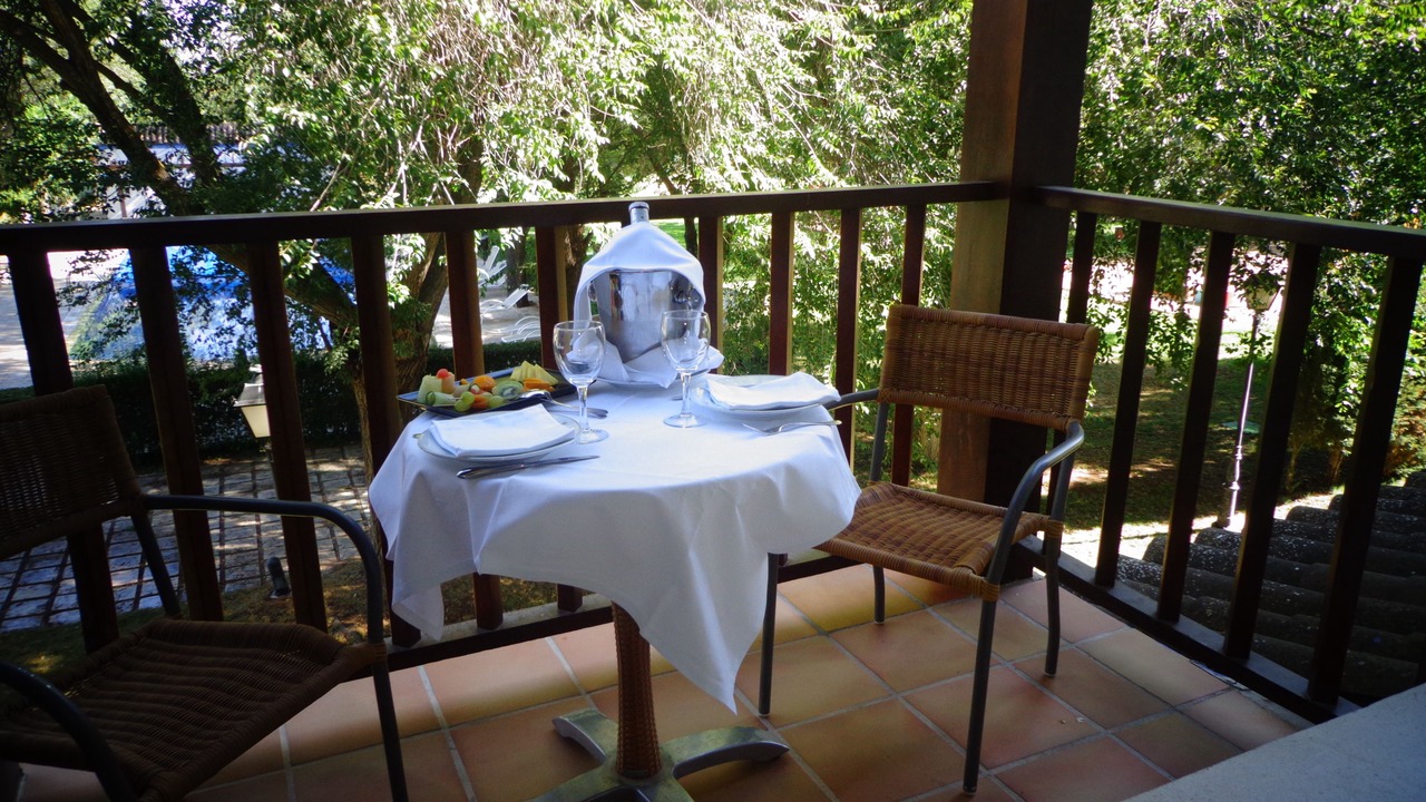 Photo of Patio Balcony in Manzanares