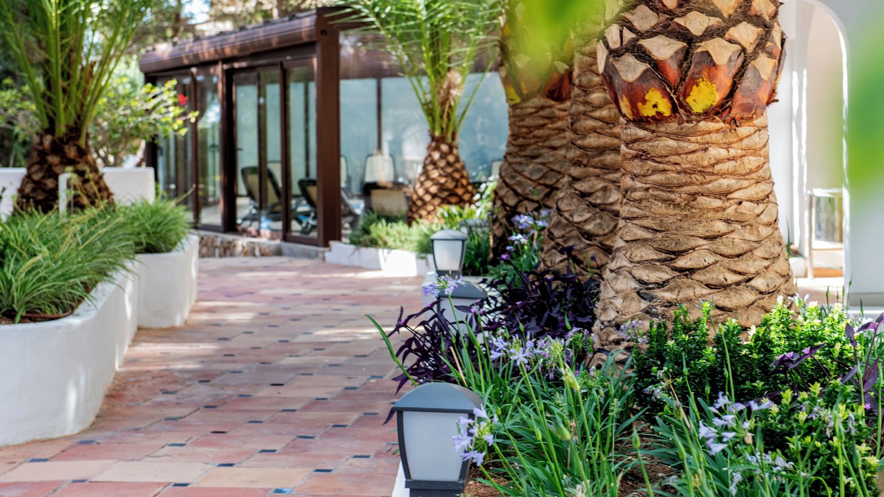 Photo of Outdoor in Illetas
