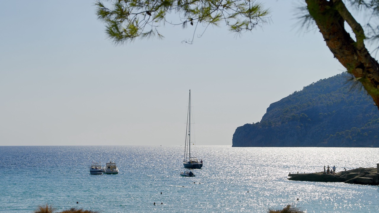 Photo of Others in Camp de Mar