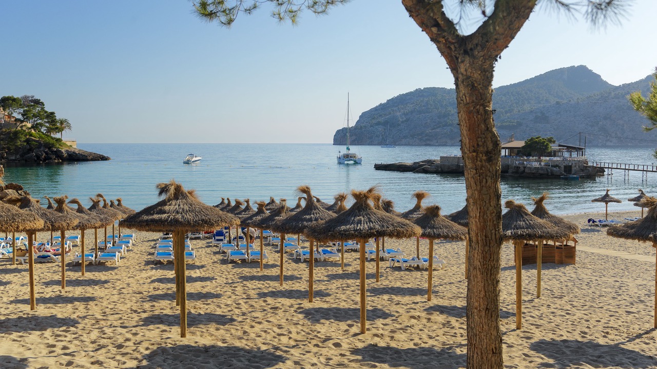 Photo of Others in Camp de Mar