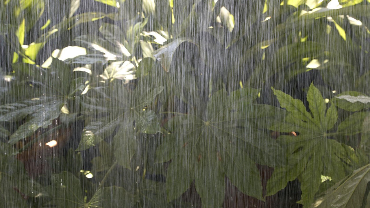 Photo of Outdoor in El Raval