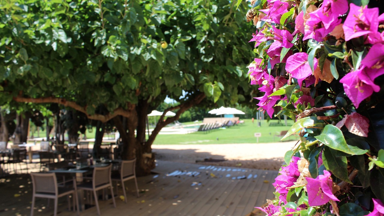 Photo of Outdoor in Torroella de Montgri