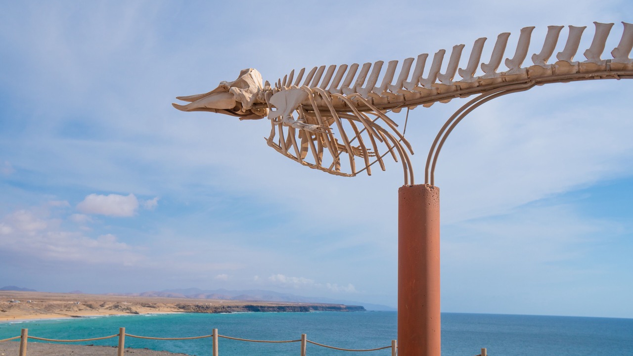 Photo of Outdoor in El Cotillo