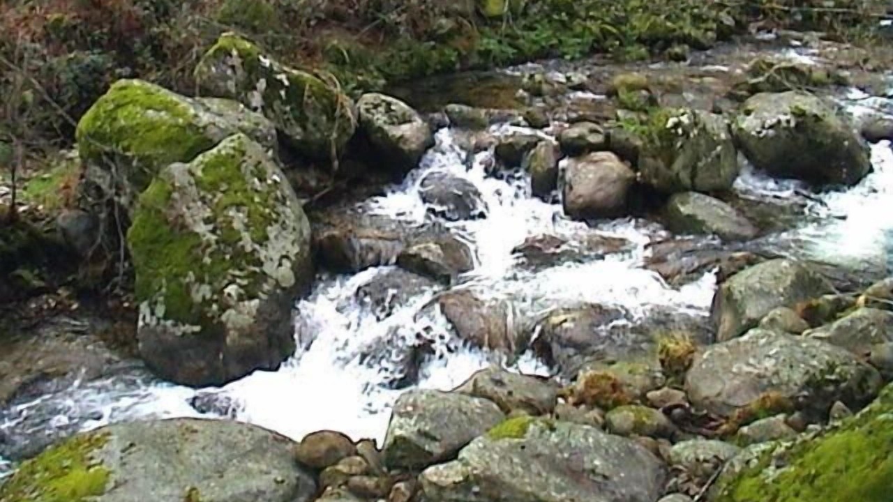 Photo of Outdoor in Jarandilla de la Vera