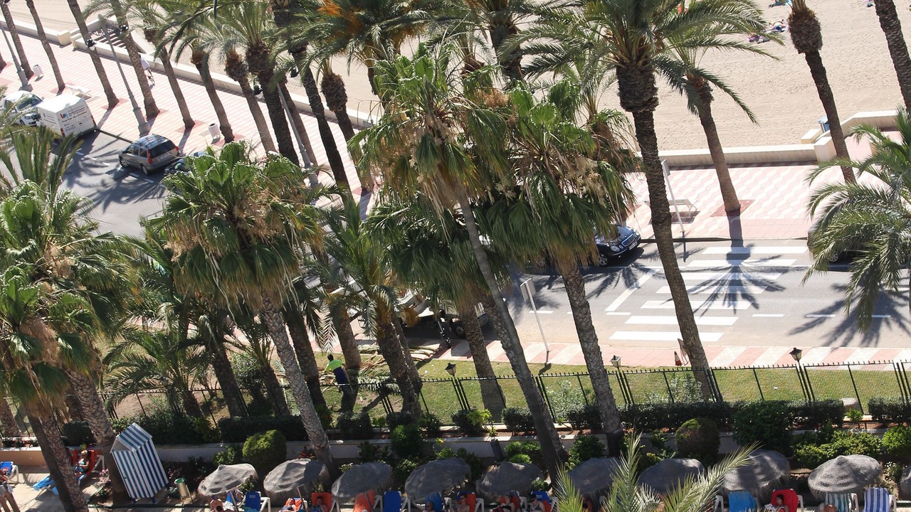 Photo of Outdoor in Aguadulce
