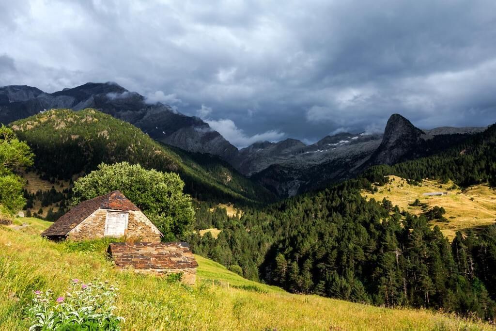 Photo of Outdoor in Plan