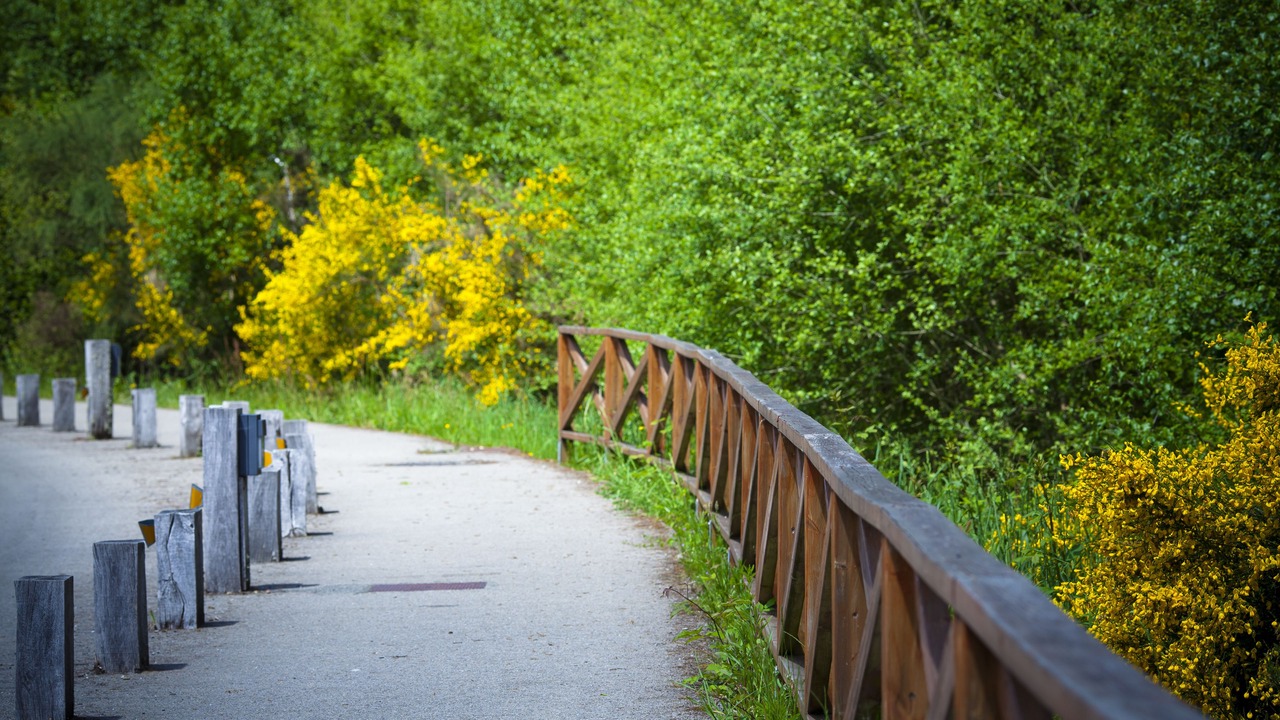Photo of Outdoor in Villalba