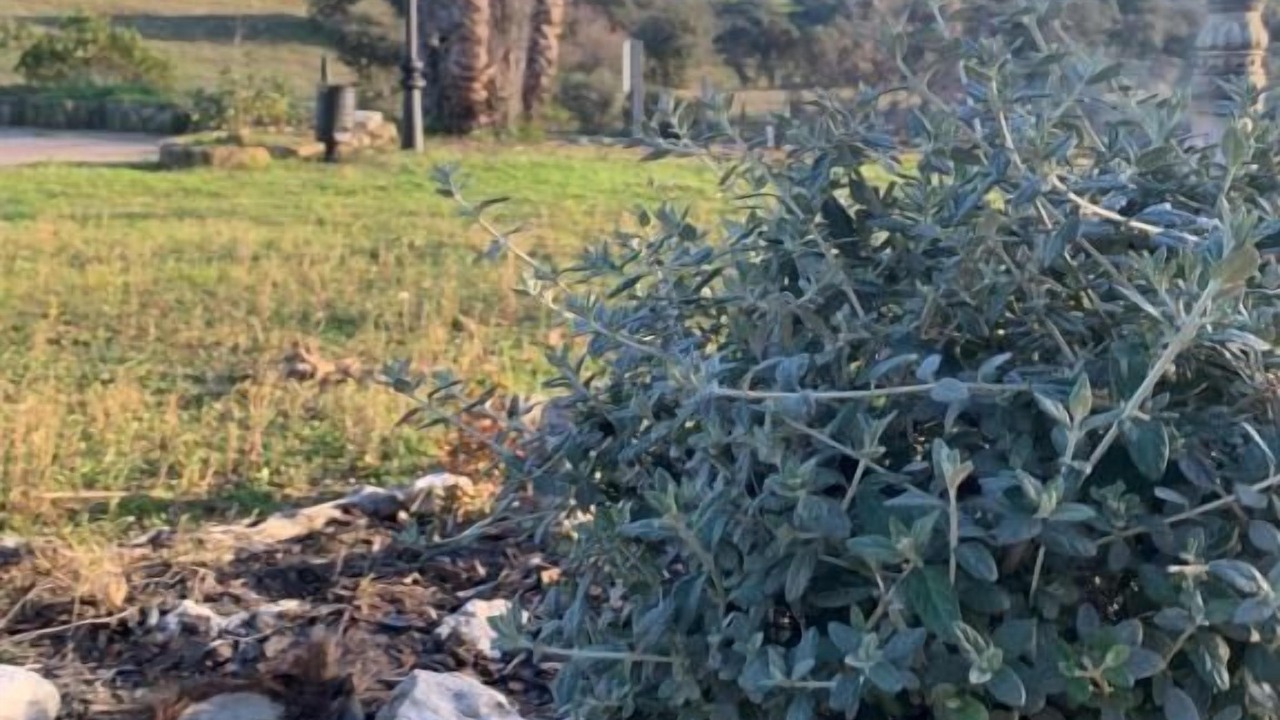 Photo of Outdoor in Plasencia