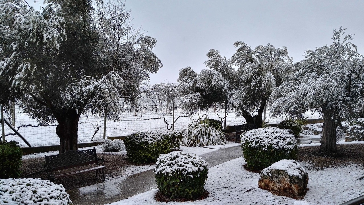 Photo of Outdoor in Fuentespina